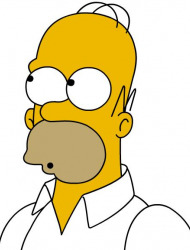 Homer J Simpson