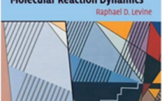 React Dyn