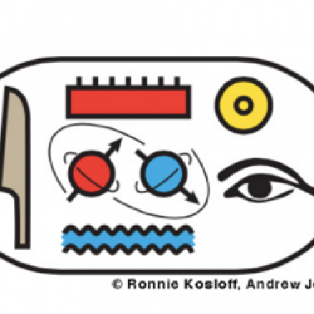 Ronnie Icon