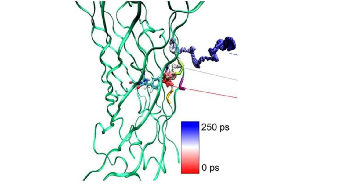 Molecular dynamics study of photo-induced proton transfer in green fluorescent protein
