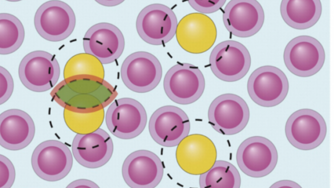 Is the depletion force entropic? Molecular crowding beyond steric interactions