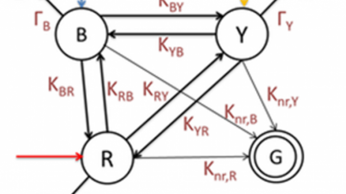 Probabilistic algorithms by multi-chromophoric molecular networks