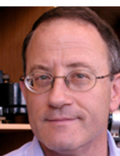 Micha Asscher