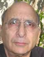 Professor Avinoam Ben-Shaul