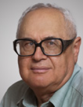 Professor Robert B Gerber